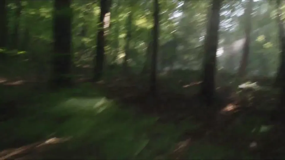 AI video · Bigfoot Forest Found Footage