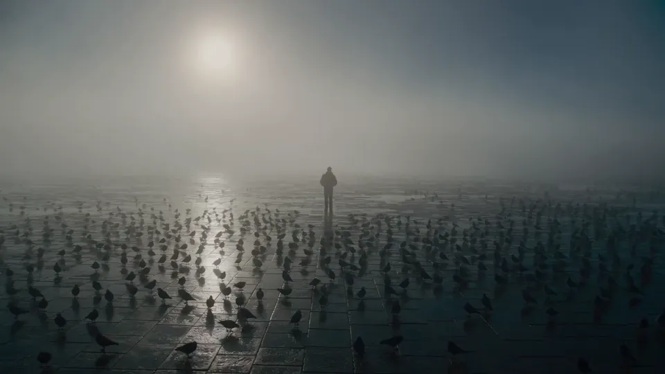 AI video · Cinematic Slow Motion Pigeon Flock