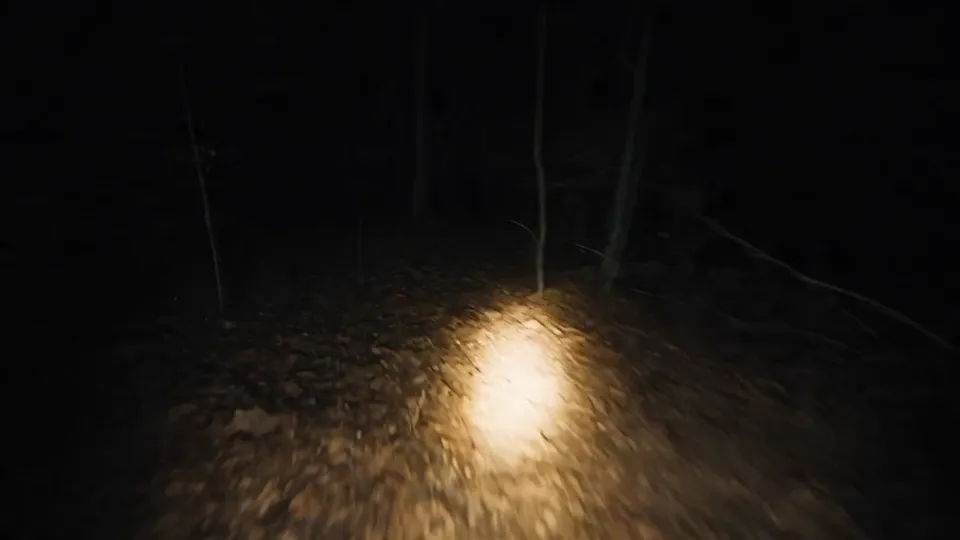 AI video · Found Footage POV Forest Horror